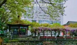 早春手机在线观看,春意盎然，浪漫时光尽收眼底